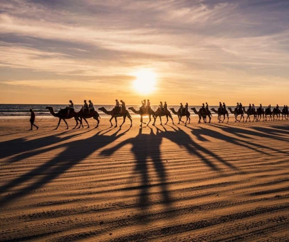 Website Blurb_Camel Tours